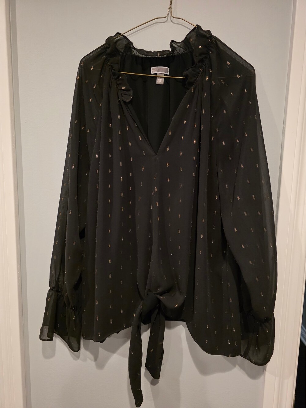 Sheer Black Ruffle Tie-Front Blouse